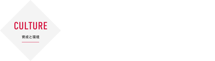 CULTURE | 育成と環境 | ダイバーシティ／ワークライフ・マネジメント
