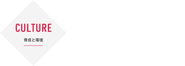 CULTURE | 育成と環境 | 若手社員アンケート