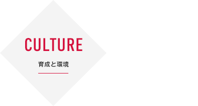 CULTURE | 育成と環境 | 人材育成
